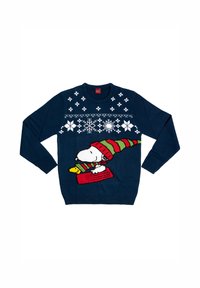Maglione blu navy con un'illustrazione lavorata a maglia di un cane con un cappello rosso e verde, e motivi di fiocchi di neve bianchi nella parte superiore.