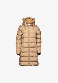 Valitud, ginger root