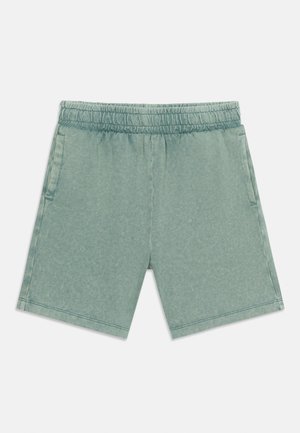 Uformelle lysegrønne shorts med elastisk midjebånd og sidelommer, laget av mykt stoff, lagt flatt på hvit bakgrunn.