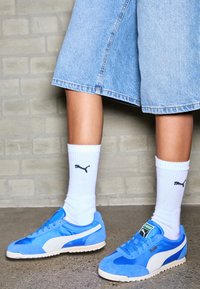 ARIZONA UNISEX - Tossud - bluemazing/vapor gray