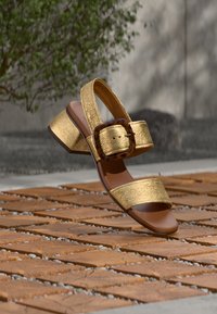 Χρυσό σανδάλι με ανοιχτά δάχτυλα, χοντρό τακούνι και μεγάλο τοκά από όστρακο χελώνας, τοποθετημένο στον αέρα πάνω από υφή ξύλινου και πέτρινου εδάφους.