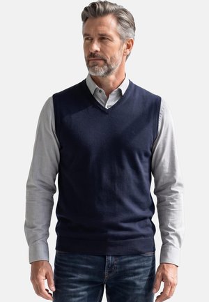 Mann mittleren Alters mit grauem Haar und Bart, der einen marineblauen ärmellosen Pullover über einem hellgrauen Hemd mit Knöpfen und dunklen Jeans trägt.