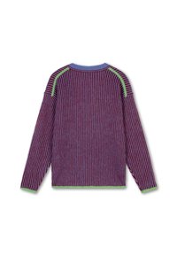 Gestreepte trui met een geribbelde textuur; heeft rode en paarse verticale strepen, groene accenten bij de naden en een ronde blauwe halslijn.