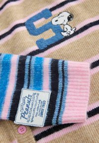 Beige, sinise ja roosa triibuline kootud kampsun. Kaunistatud Snoopy tikandiga, suure sinise "S" ja kangasildiga. Kaunistuseks roosad nupud.