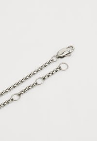 Catena metallica d'argento con maglie, dotata di un gancio e anelli circolari per il fissaggio. Texture liscia, finitura lucida e design uniforme.