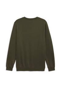 Mørkegrøn sweatshirt med rund halsudskæring, lange ærmer og ribbet kant. Glat tekstur med et enkelt, ensfarvet design. Ingen synlige mønstre.