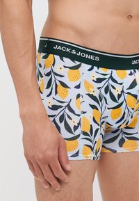 Boxers pour hommes avec un fond bleu clair, ornés d'un motif de citron et de fleurs. Ceinture élastique verte avec le nom de la marque en blanc.