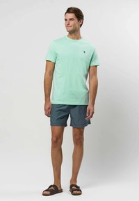 Jasnozielony bawełniany t-shirt z okrągłym dekoltem, zestawiony z ciemnoniebieskimi szortami w białe paski. Strój uzupełniają brązowe sandały.