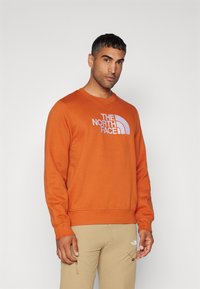 The North Face M DREW PEAK REGULAR CREW - Mikina - earthen copper