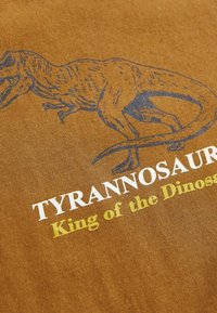 Next GRAPHIC - Langarmshirt - tan brown dino
