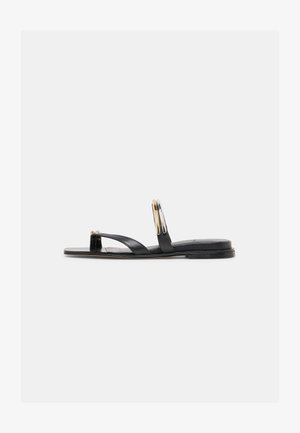 Dolce Vita, TARINA - Sandalias de dedo - black