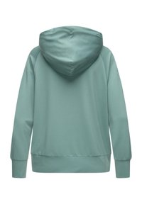 Felpa con cappuccio verde menta caratterizzata da maniche lunghe, una texture liscia e una vestibilità comoda. La vista posteriore non mostra dettagli aggiuntivi o motivi.