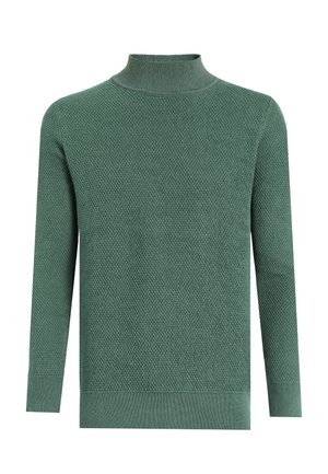 BASIC HALF TURTLENECK SWEATER - Striktrøje - green