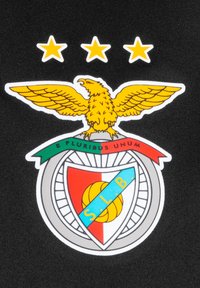 Logo del club Benfica con un'aquila gialla dalle ali spiegate, tre stelle sopra e uno scudo con sezioni rossa e blu, dettagli in argento.