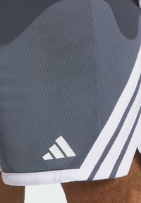 Harmaat urheilushortsit, jotka on valmistettu hengittävästä verkkomateriaalista. Shortsien etuosassa on valkoisia yksityiskohtia, kolme tunnusomaista raitaa ja valkoinen logo helman kohdalla.