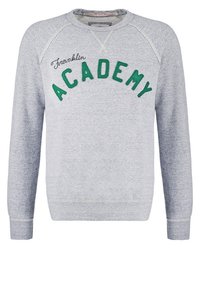Felpa grigia con maniche raglan, decorata con la scritta ricamata in verde "Franklin ACADEMY". Tessuto morbido e testurizzato con polsini e orlo a coste.