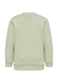 Jasnozielona bluza, mieszanka bawełny, okrągły dekolt, ściśnięte mankiety i dolna krawędź, miękka tekstura, widok z tyłu, bez wyraźnych wzorów lub ozdób.