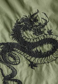 Next DRAGON EMBRODIARY - Kapsáče - khaki green
