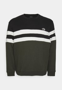 Felpa nera con strisce orizzontali verdi e bianche. Presenta un collo a girocollo, maniche lunghe e un piccolo logo di montagna sul petto.