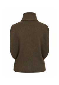 Pull à col roulé marron en maille avec col, poignets et ourlet côtelés, montré de dos sur fond blanc.