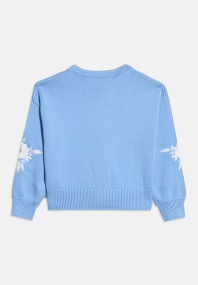 Ανοιχτό μπλε πλεκτό πουλόβερ με μακριά μανίκια, διακοσμημένο με λευκή κεντητική με λουλούδια σε κάθε μανίκι, με ριμπ μανσέτες και τελείωμα, εμφανιζόμενο από πίσω.