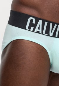 Mint zelena pamučna gaćice s crnim elastičnim pojasom na kojem je u bijelom slovima ispisano "CALVIN". Glatka tekstura i uski kroj.