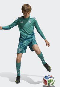 Green long-sleeve soccer jersey with three white stripes and a national logo, paired with matching shorts and socks. Multi-colored soccer ball.