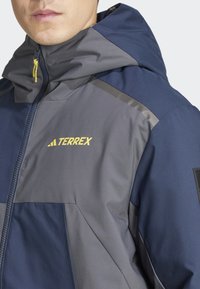 Adidas Terrex NATIONAL GEOGRAPHIC INSULATED REVERSABLE - Zimní bunda - grey six