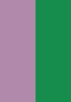 aurora flip
