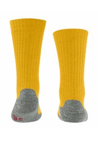FALKE ACTIVE WARM  - Calze sportive - bee