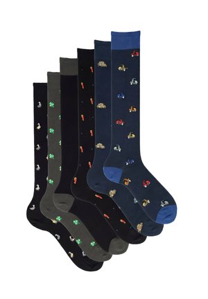 Sei paia di calzini lunghi con fantasie in vari colori scuri con disegni di uccelli, trifogli, aragoste, auto d’epoca e scooter.