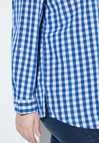 Camicia a quadretti blu e bianca con maniche lunghe, dotata di polsini con bottone e spacchi laterali, realizzata in tessuto leggero.
