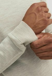 Jack & Jones PREMIUM ROLLKRAGEN - Maglione - pure cashmere