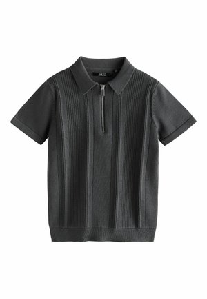 Next, ZIP NECK - REGULAR FIT - Poloshirts - charcoal grey
