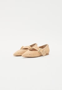 Pantofi plata bej din suede, cu bot ascuțit, accente aurii și o cataramă decorativă pe lateral. Talpă plată și interior căptușit.