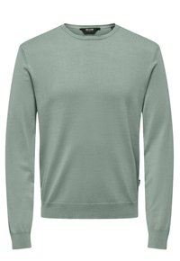 Maglione verde chiaro realizzato in morbido tessuto a maglia, con scollo rotondo e maniche lunghe con polsini e orlo a costine. Design semplice, senza motivi.