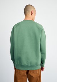 Felpa verde in cotone con scollo rotondo e polsini a costine, caratterizzata da una superficie liscia. Vista dal retro.