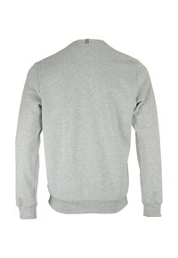 Felpa grigia chiara con collo rotondo, maniche lunghe e polsini a coste. Presenta un design semplice senza motivi visibili o accessori.