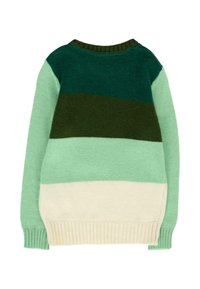 Pull en tricot dans des tons de vert et crème, avec un col rond côtelé et des rayures texturées sur le dos.