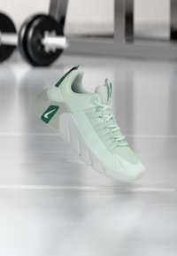 Δεν επιλέχθηκε, barely green/steam/light silver-coloured/white