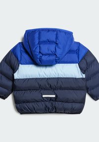 adidas Performance UNISEX - Vinterjakke - semi lucid blue clear sky legend ink