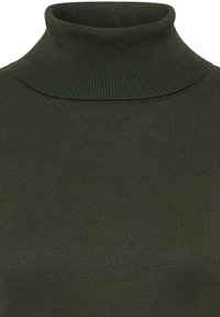 Gros plan d'un pull à col roulé côtelé vert foncé en tricot, montrant le col et la partie supérieure de la poitrine.
