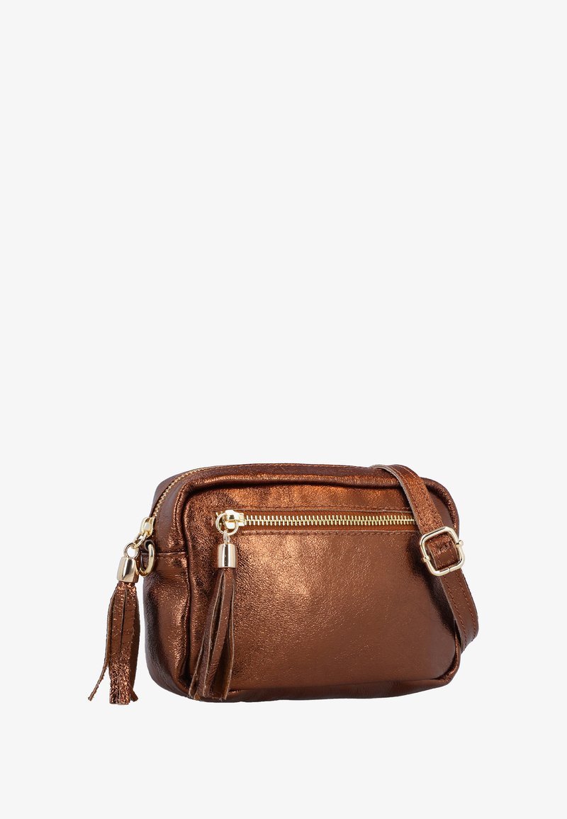 Bruine metallic crossbody tas met gouden hardware, ritssluiting en twee franjes. Glad textuur met een compact rechthoekig formaat.