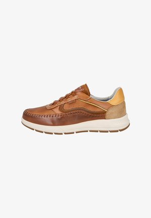 Pikolinos, SALAMANCA DEPORTIVOS CON CIERRE ELÁSTICO - Zapatillas - camel