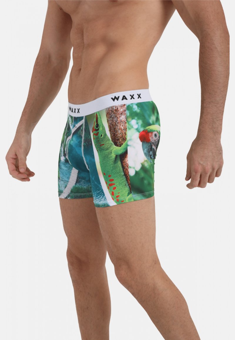 WAXX AMAZON Boxers green/vert