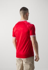 Hummel DENMARK DBU HOME JERSEY - Voetbalshirt - tango red