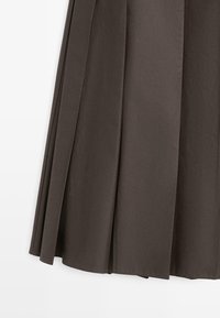 Brauner plissierter Rock aus einem Stoff mit glatter Textur. Ausgestattet mit tiefen Falten und einem sauberen, maßgeschneiderten Saum unten.