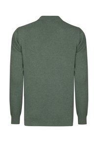 Maglione verde con un motivo testurizzato, maniche lunghe e orlo a coste. Design semplice con colletto classico e finitura in tessuto morbido.