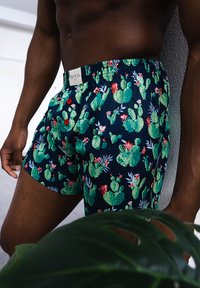 Phil & Co. Berlin 6 PACK PRINTS - Boxer  - mix