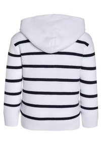 Polo Ralph Lauren Felpa con cappuccio - white/multicolor
